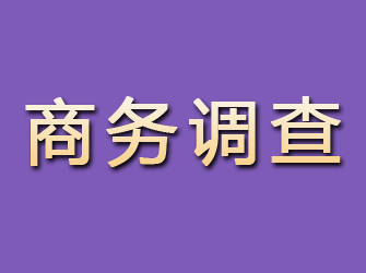 君山商务调查