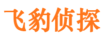 君山市场调查